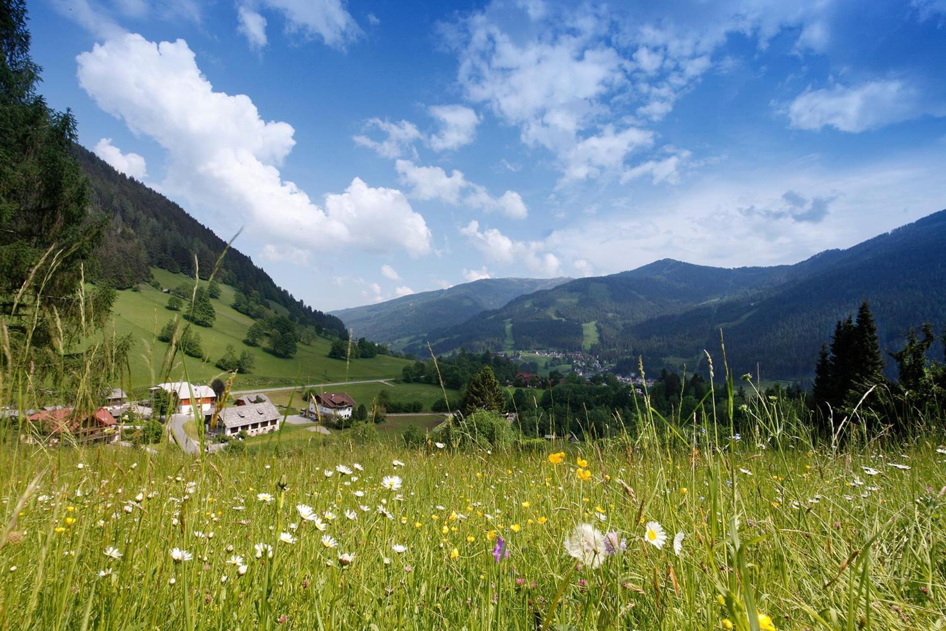 Pension & Appartements Ronacherhof Bad Kleinkirchheim Exterior photo